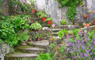 Trecchina