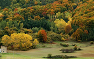 Parco Nazionale del Pollino