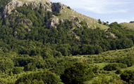Parco dell'Appennino Lucano